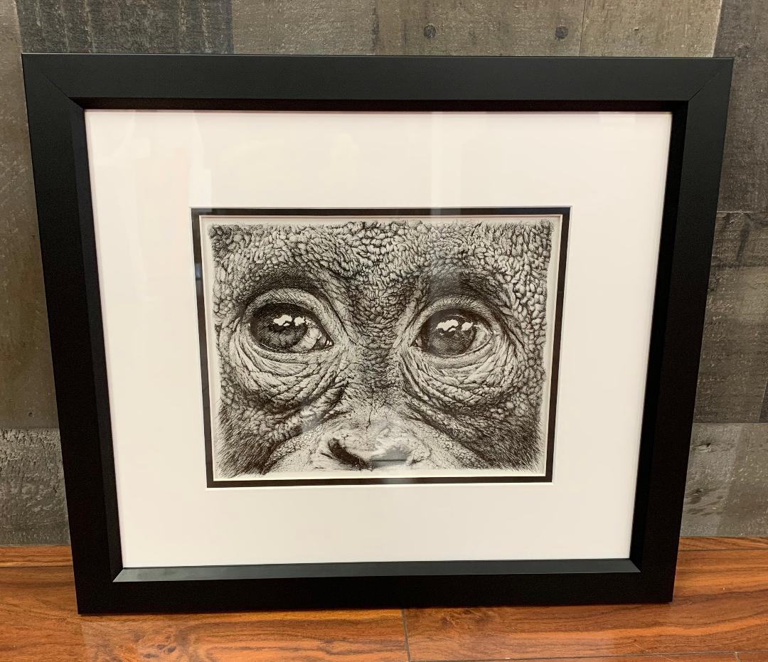 Katy Art & Custom Framing - Business Photo